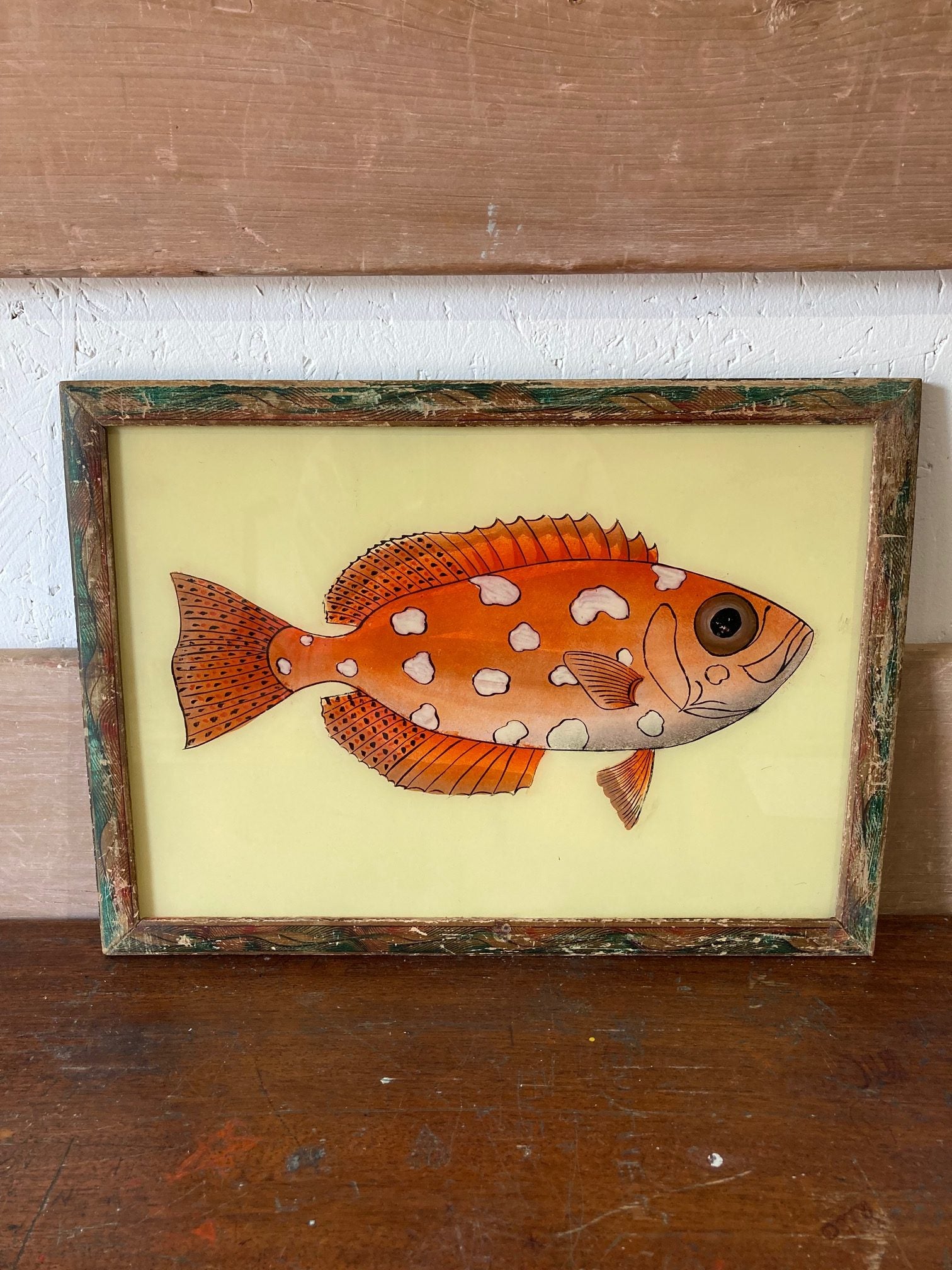 fish-picture-2