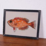 fish-picture-2