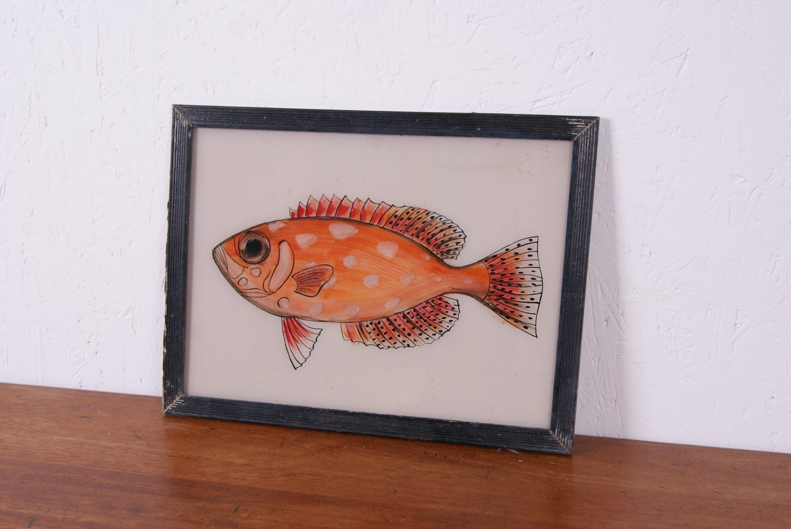 fish-picture-2