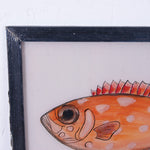 fish-picture-3