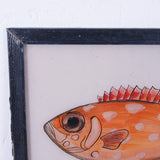 fish-picture-3