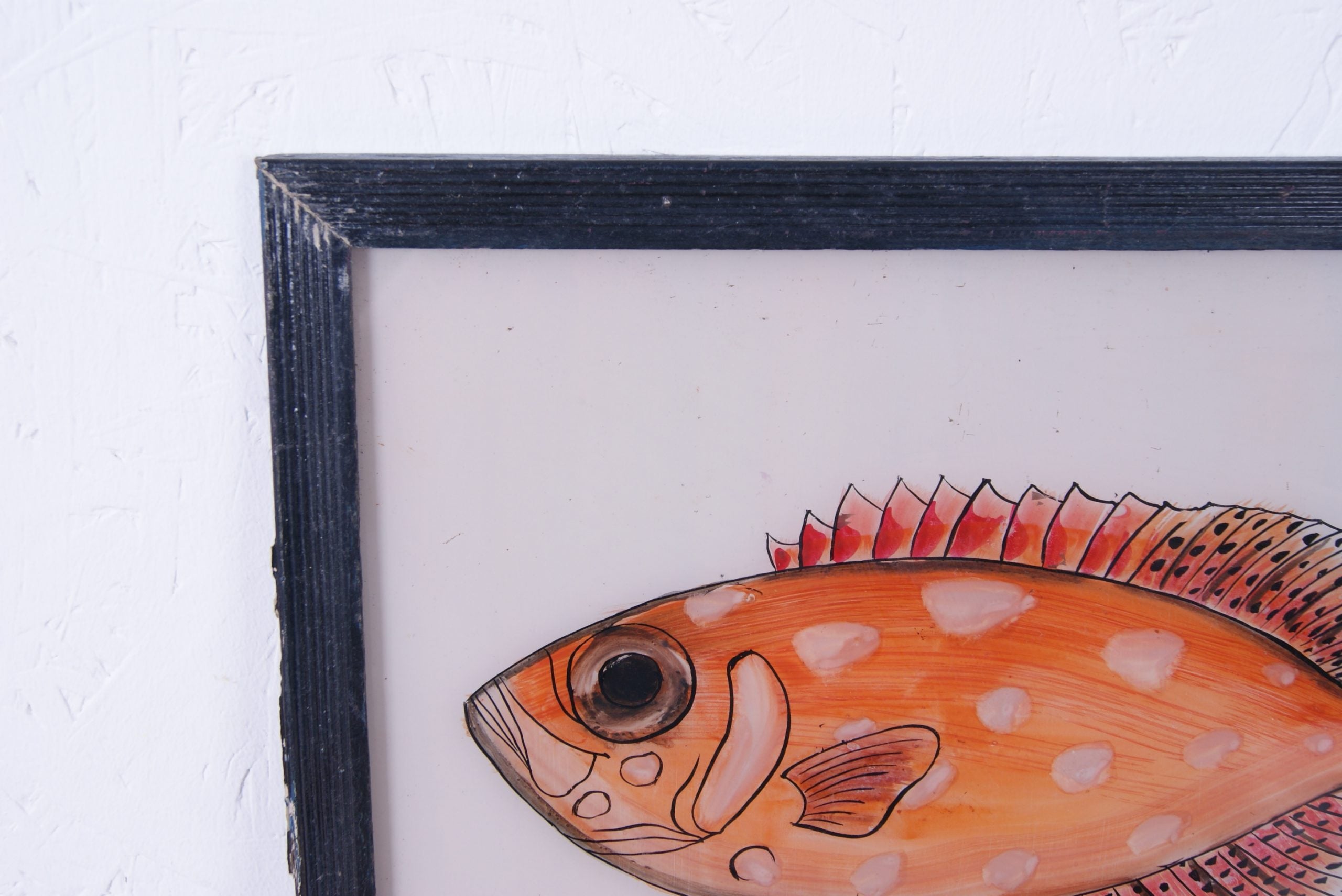 fish-picture-3