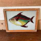 fish-picture