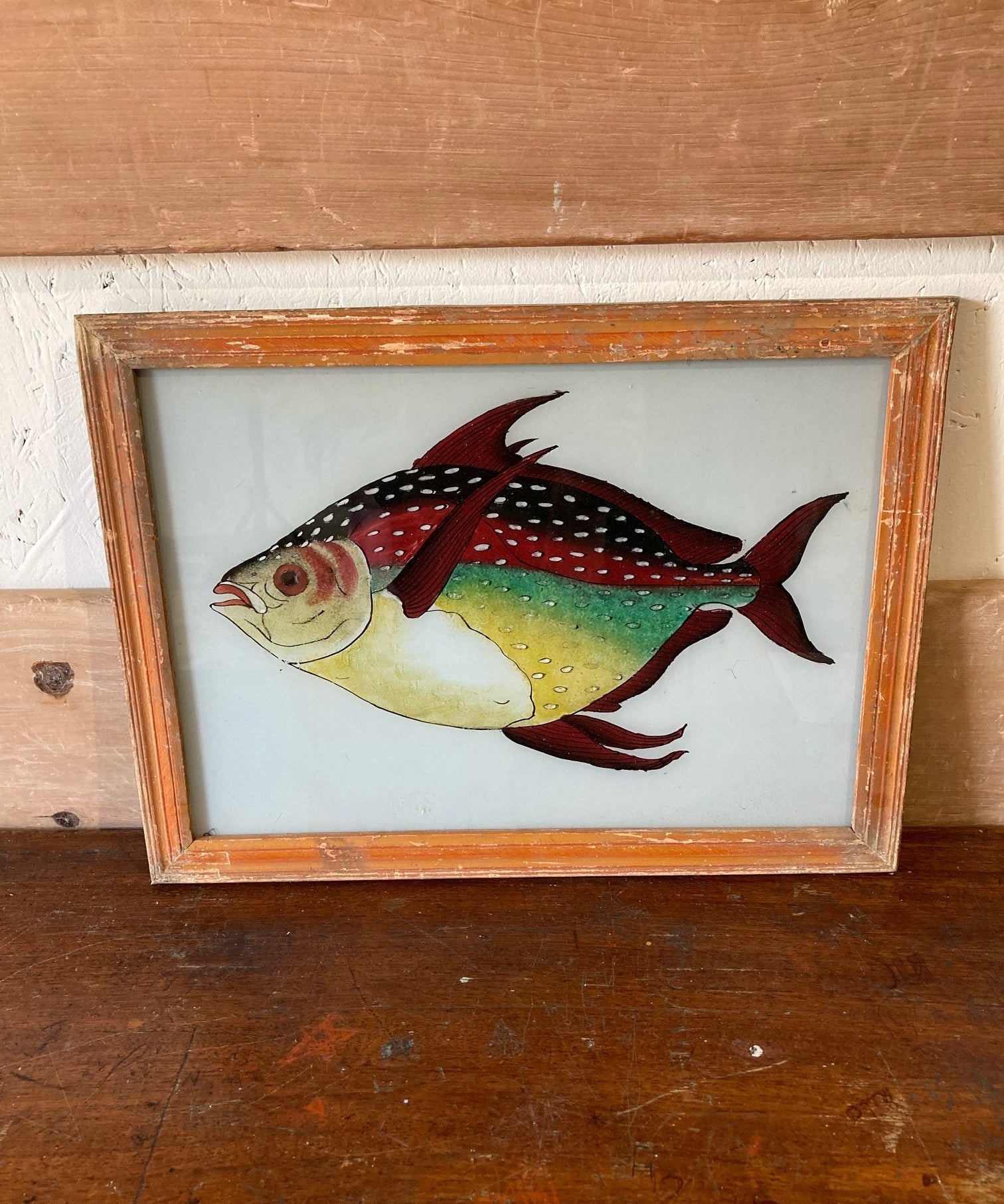 fish-picture