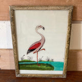 flamingo-1