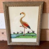 flamingo-2