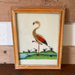 flamingo-picture-1