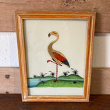 flamingo-picture-1