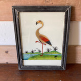 flamingo-picture