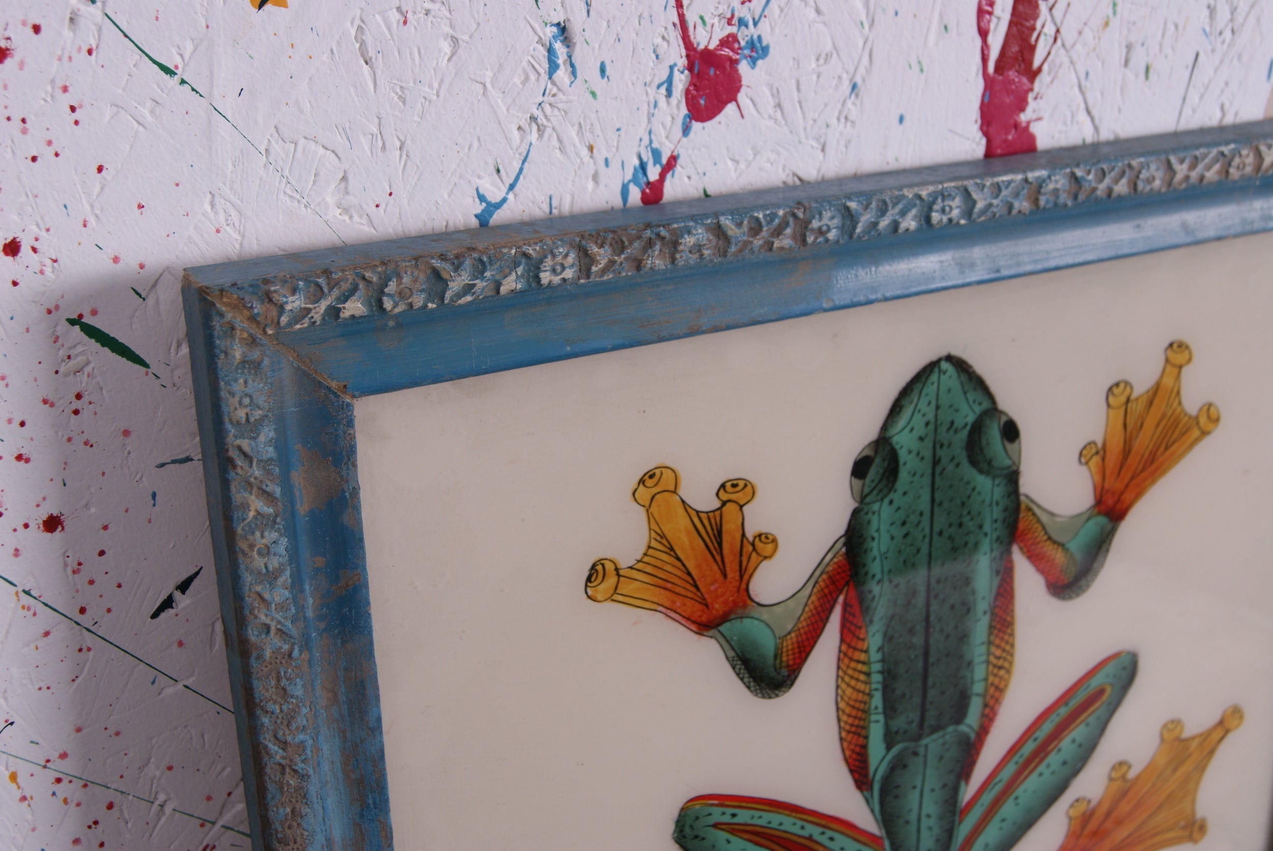 frog-picture-2