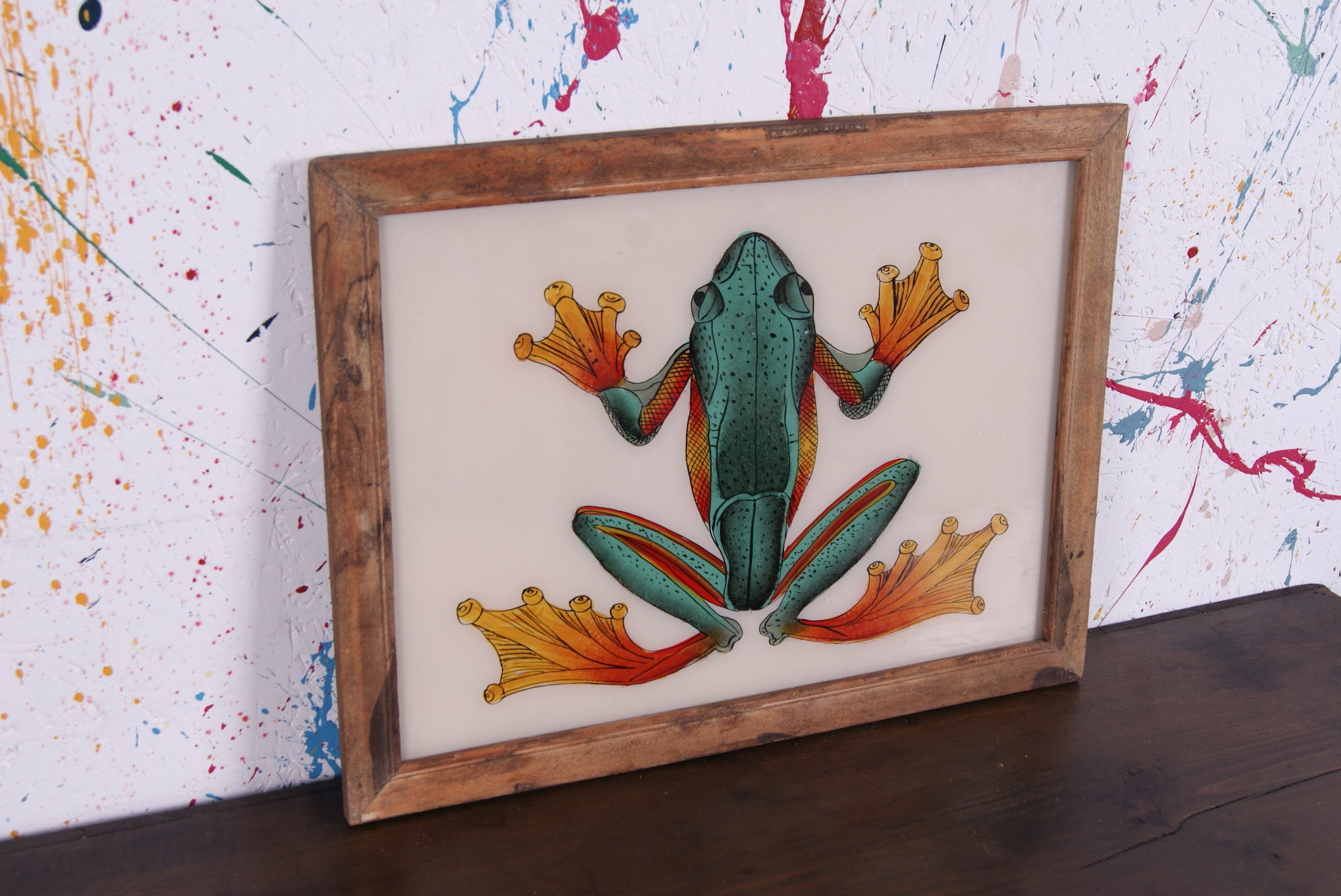 frog-picture-4