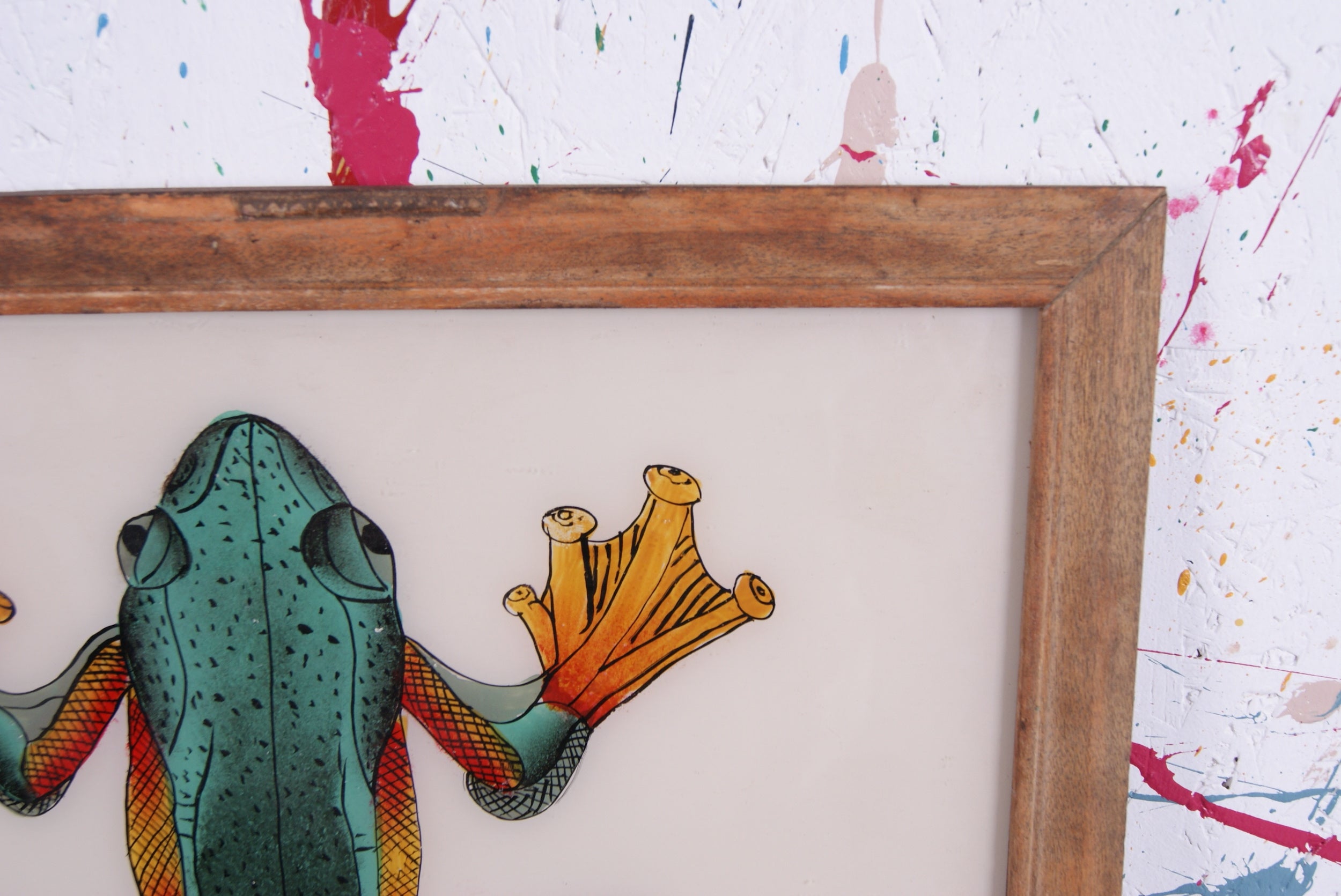 frog-picture-5