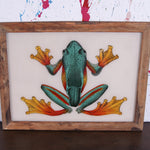 frog-picture-6.