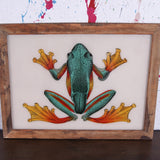 frog-picture-6.