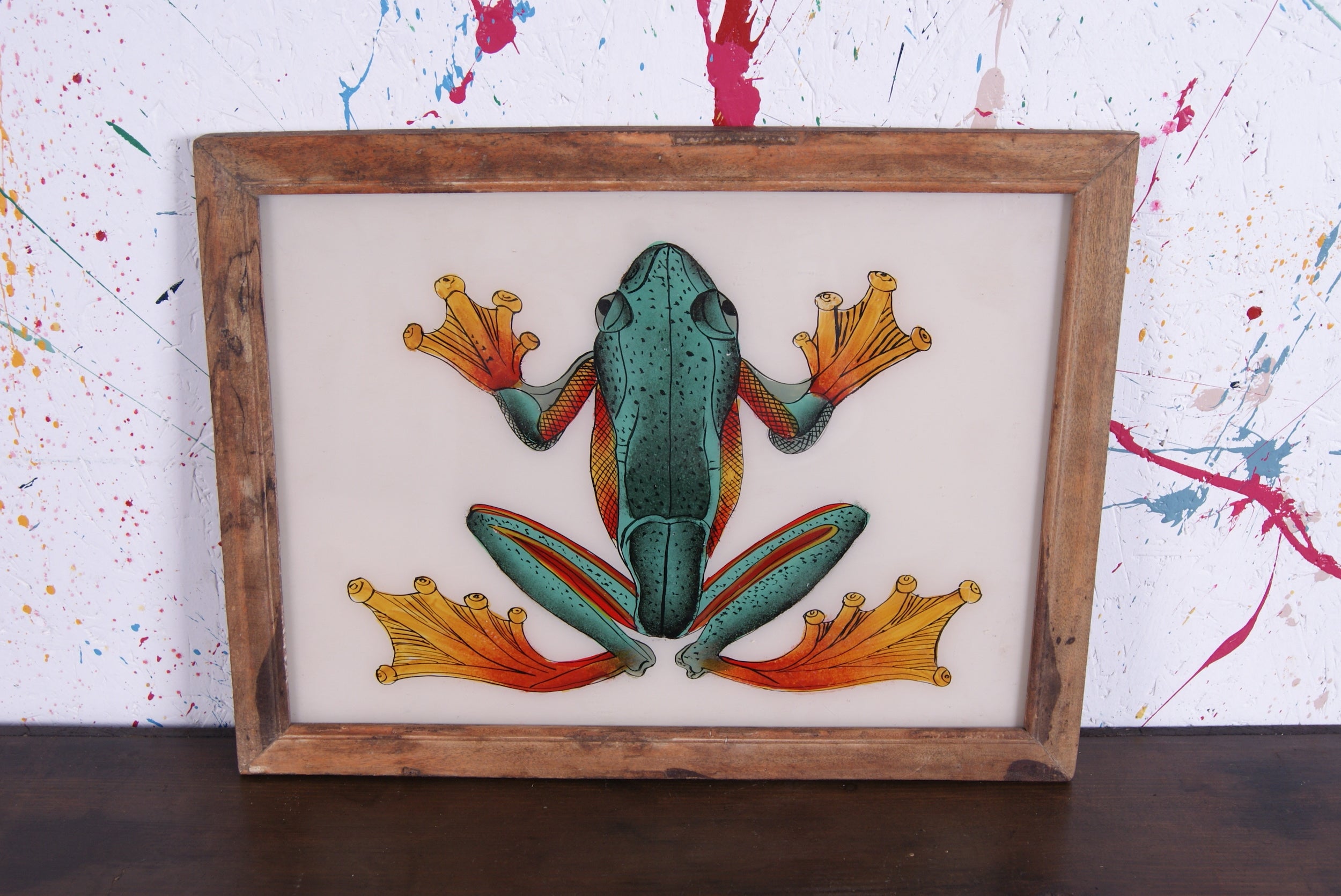 frog-picture-6.
