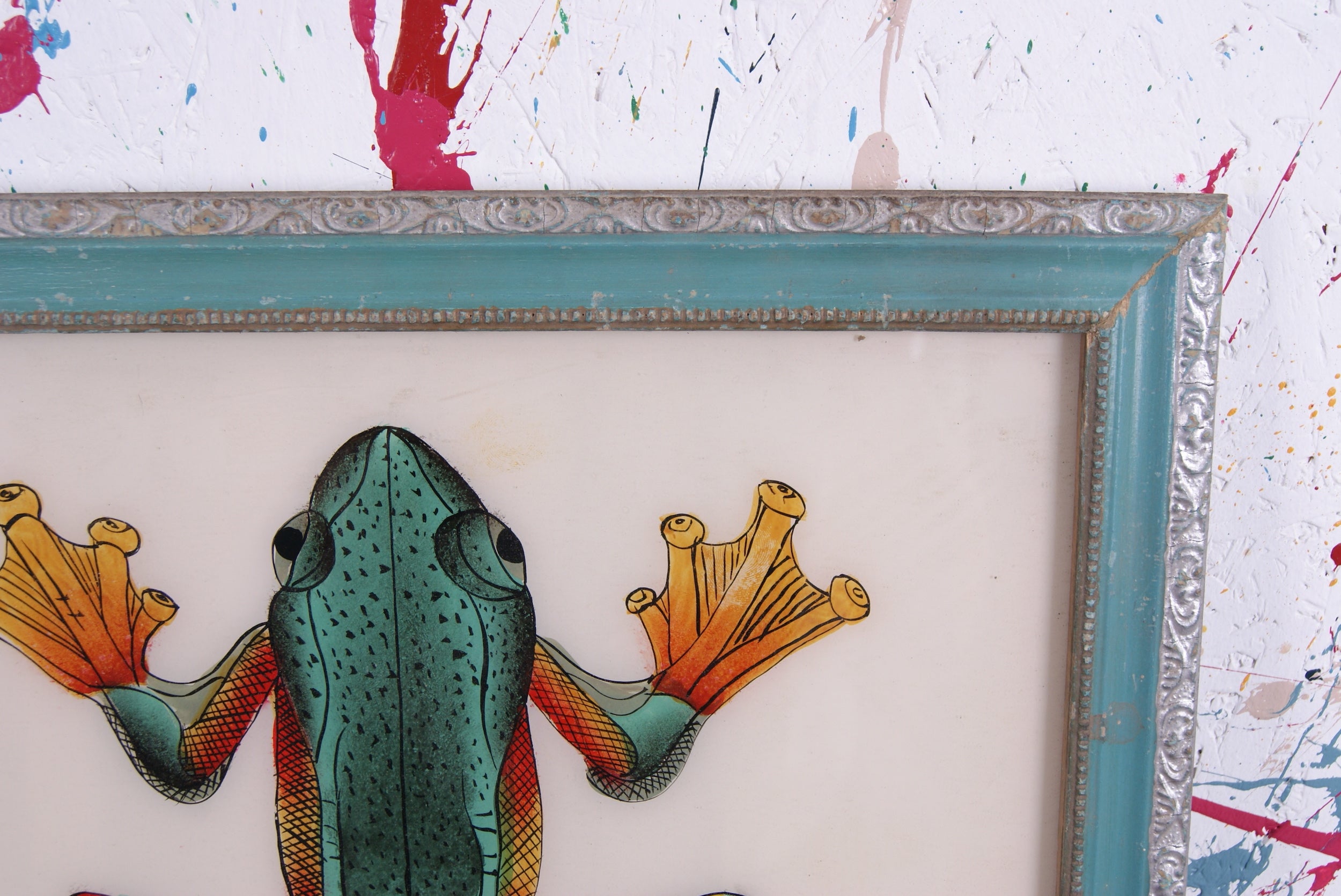 frog-picture-8