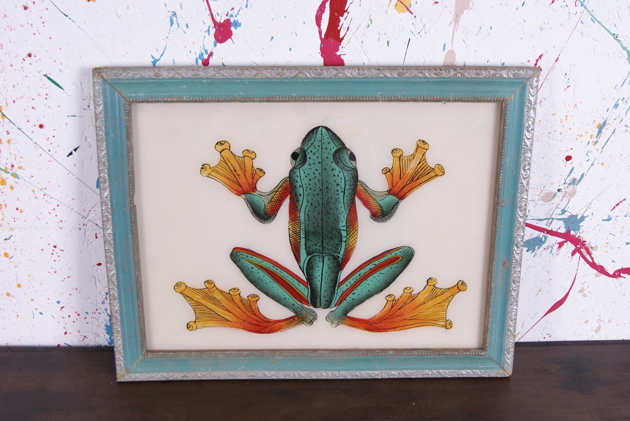 frog-picture-9