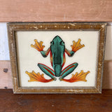 frog-picture