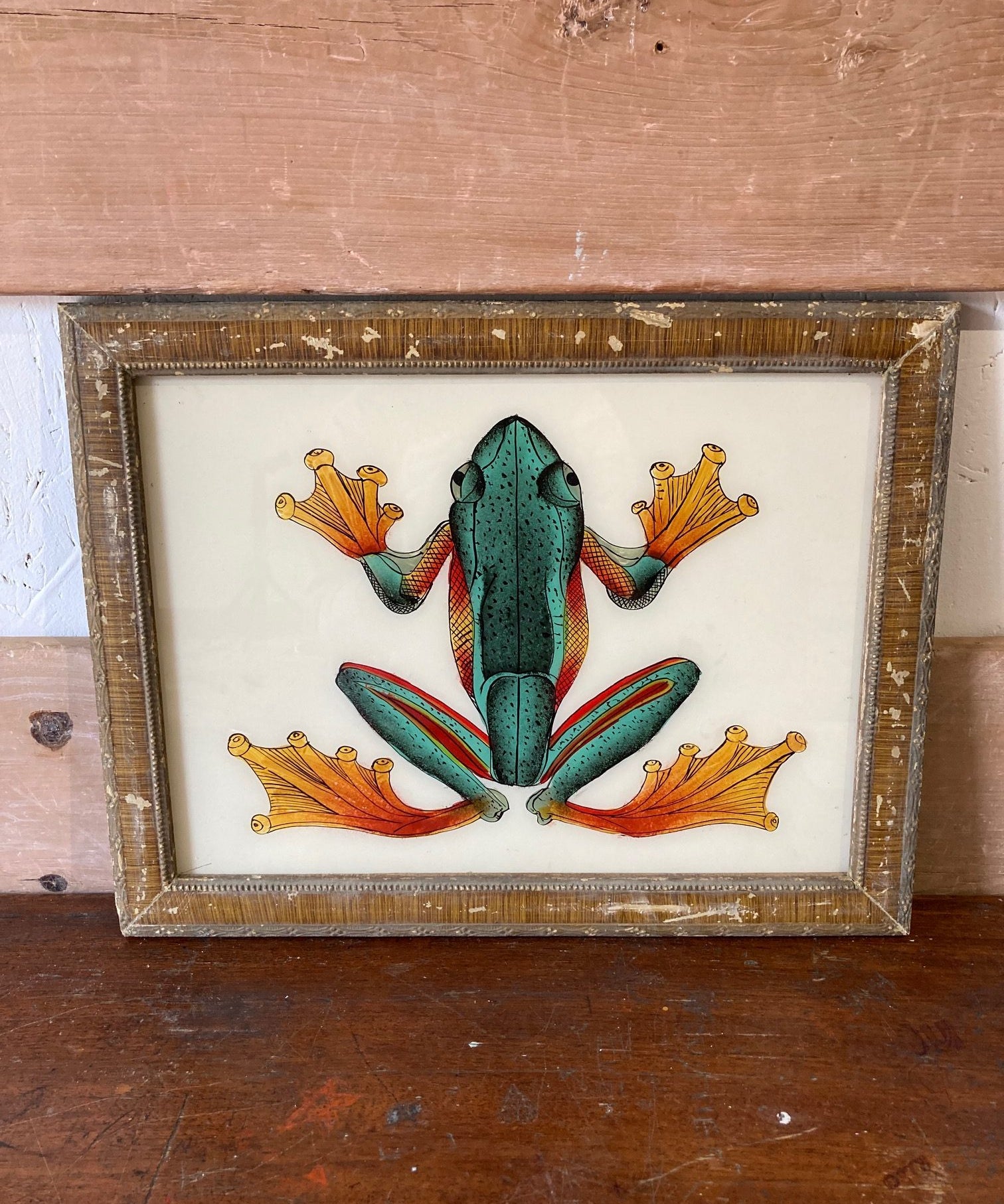 frog-picture