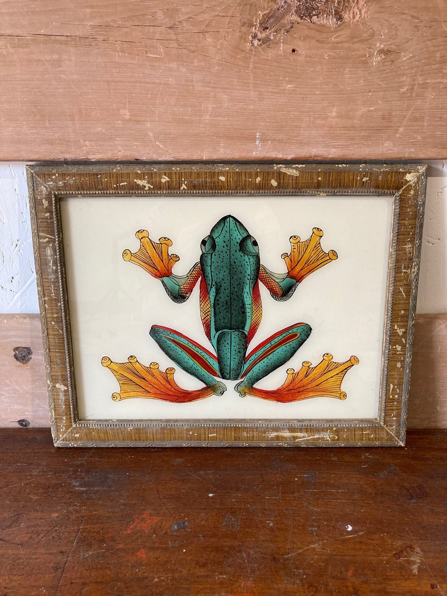 frog-picture