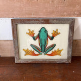Frog Picture