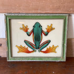 frog-picture