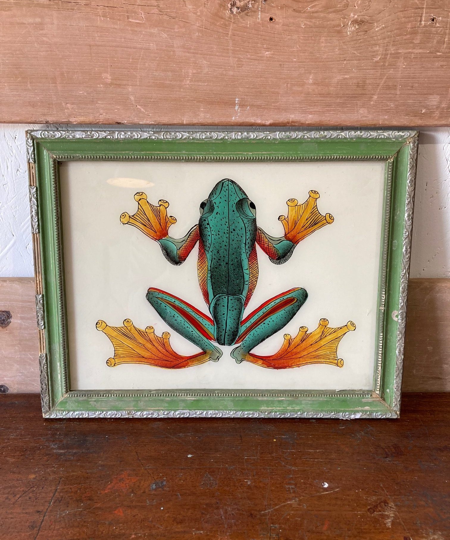frog-picture