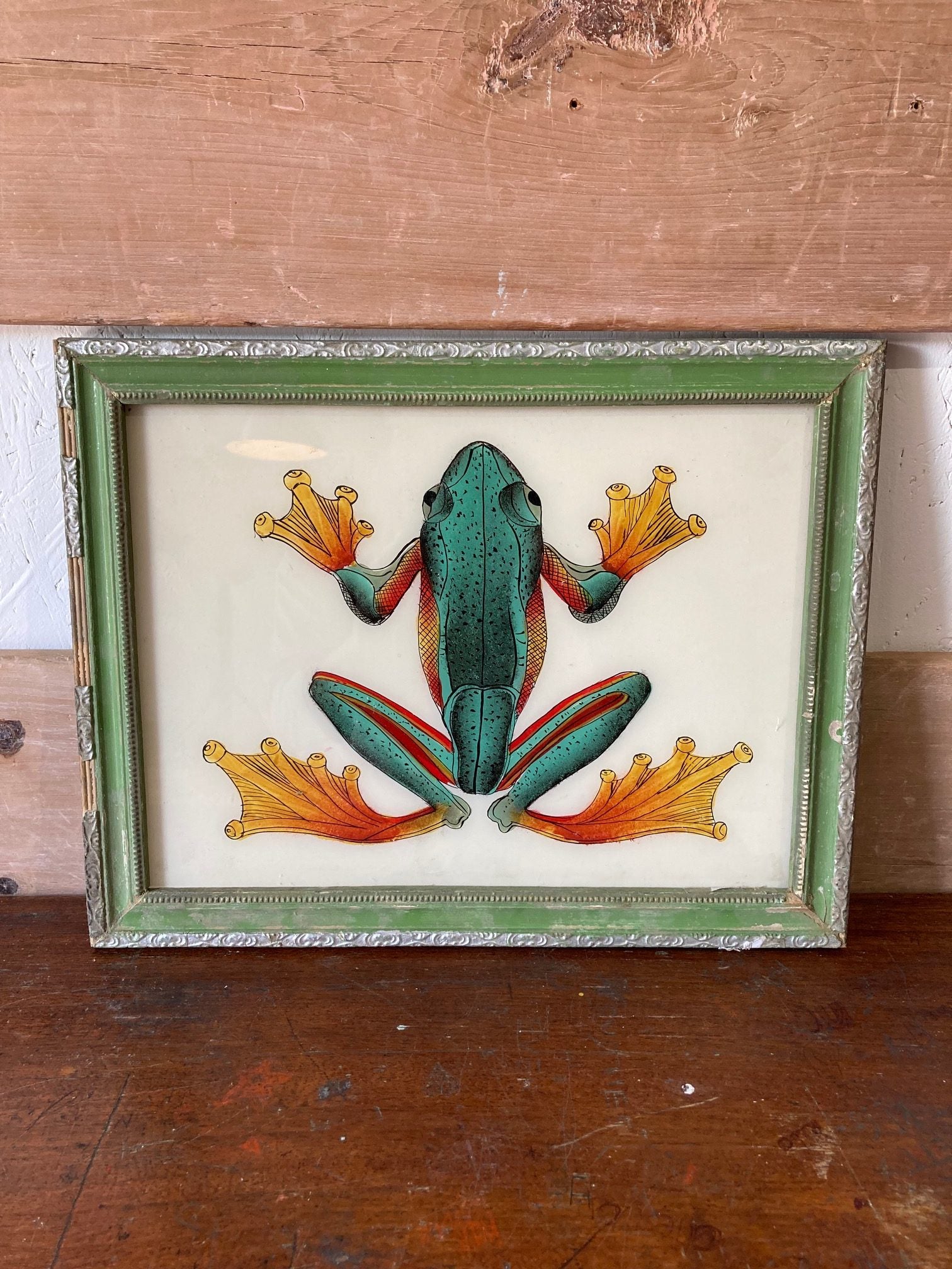 frog-picture