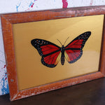 gold-butterfly-picture-2