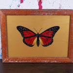 gold-butterfly-picture-3