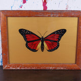 gold-butterfly-picture-3