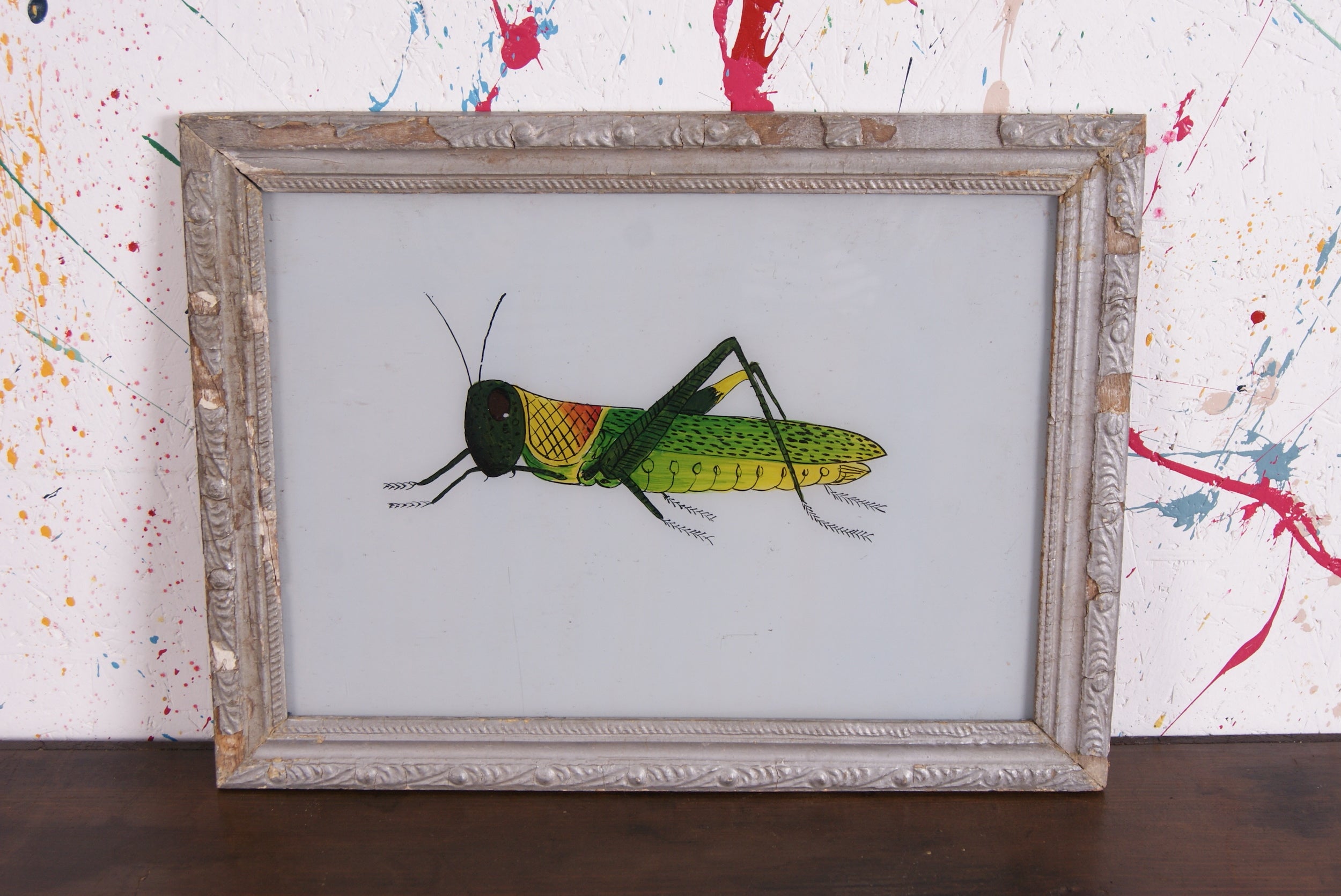 grasshopper-picture-1