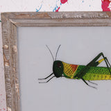 grasshopper-picture-3.