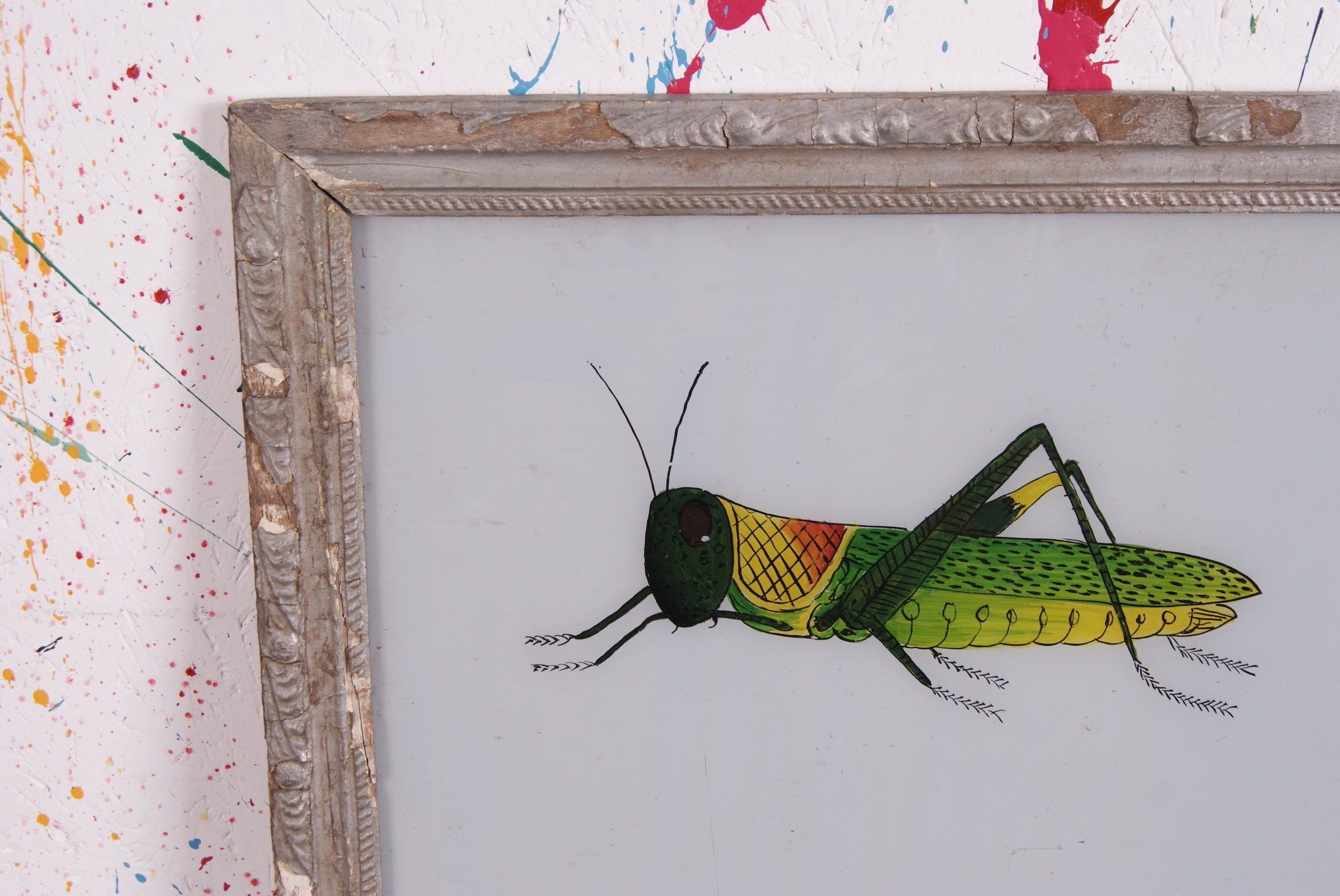 grasshopper-picture-3.