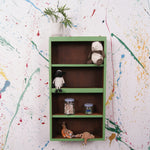 green-display-shelf-7