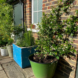green-enamel-garden-tub-1