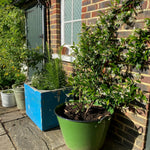 green-enamel-garden-tub-1