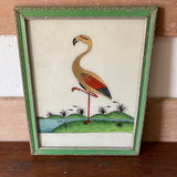 Flamingo Picture