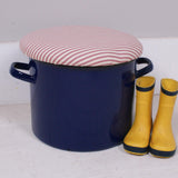 Children's Blue Enamel Pot Seat with Red Ticking Lift off Lid