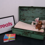 Children's Light Green Metal Storage Trunk from India