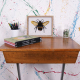 kids-metal-legged-single-desk-7