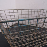 Oyster Storage Baskets