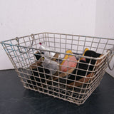 Oyster Storage Baskets
