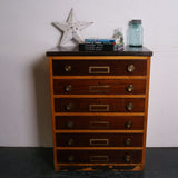 Children's Wooden Science Cabinet