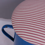 Medium Turquoise Maggie with Red Ticking Removable Seat Pad
