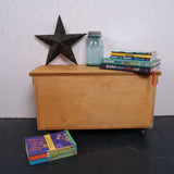 Children's Wooden Storage Caddy on Castors