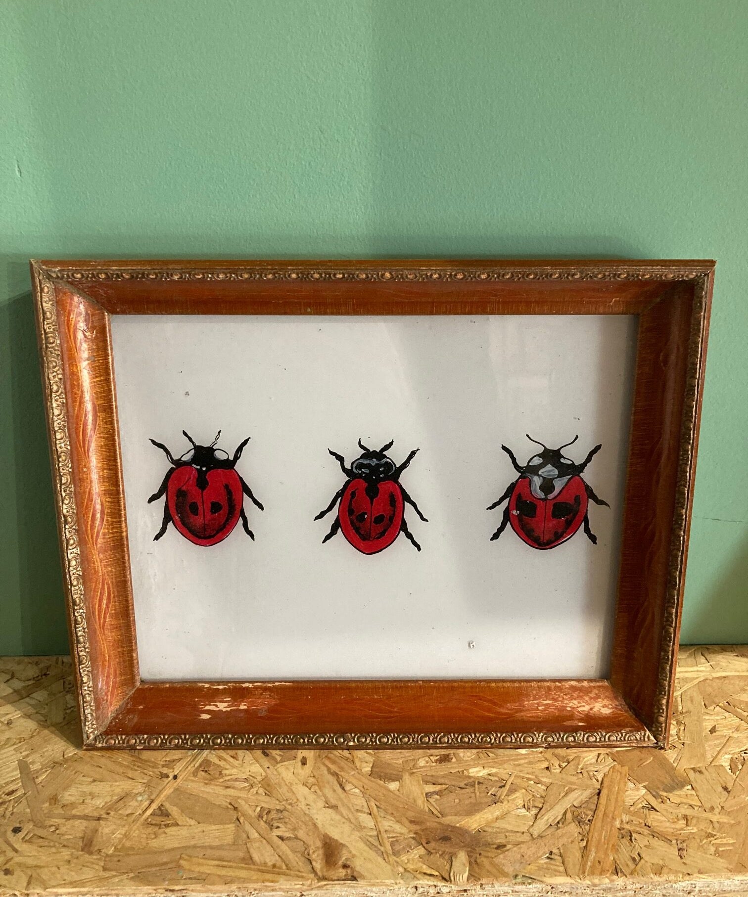 ladybird-picture