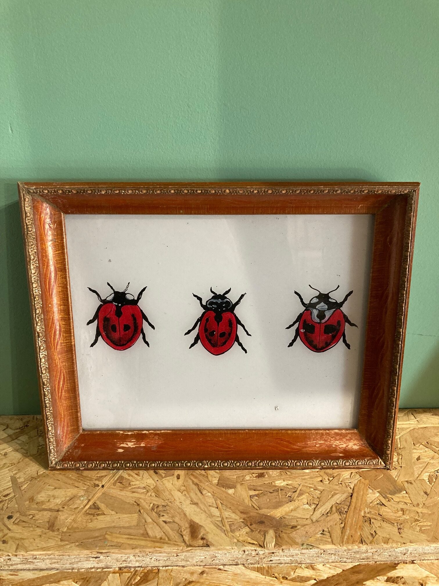 ladybird-picture