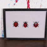 ladybirds-picture-1