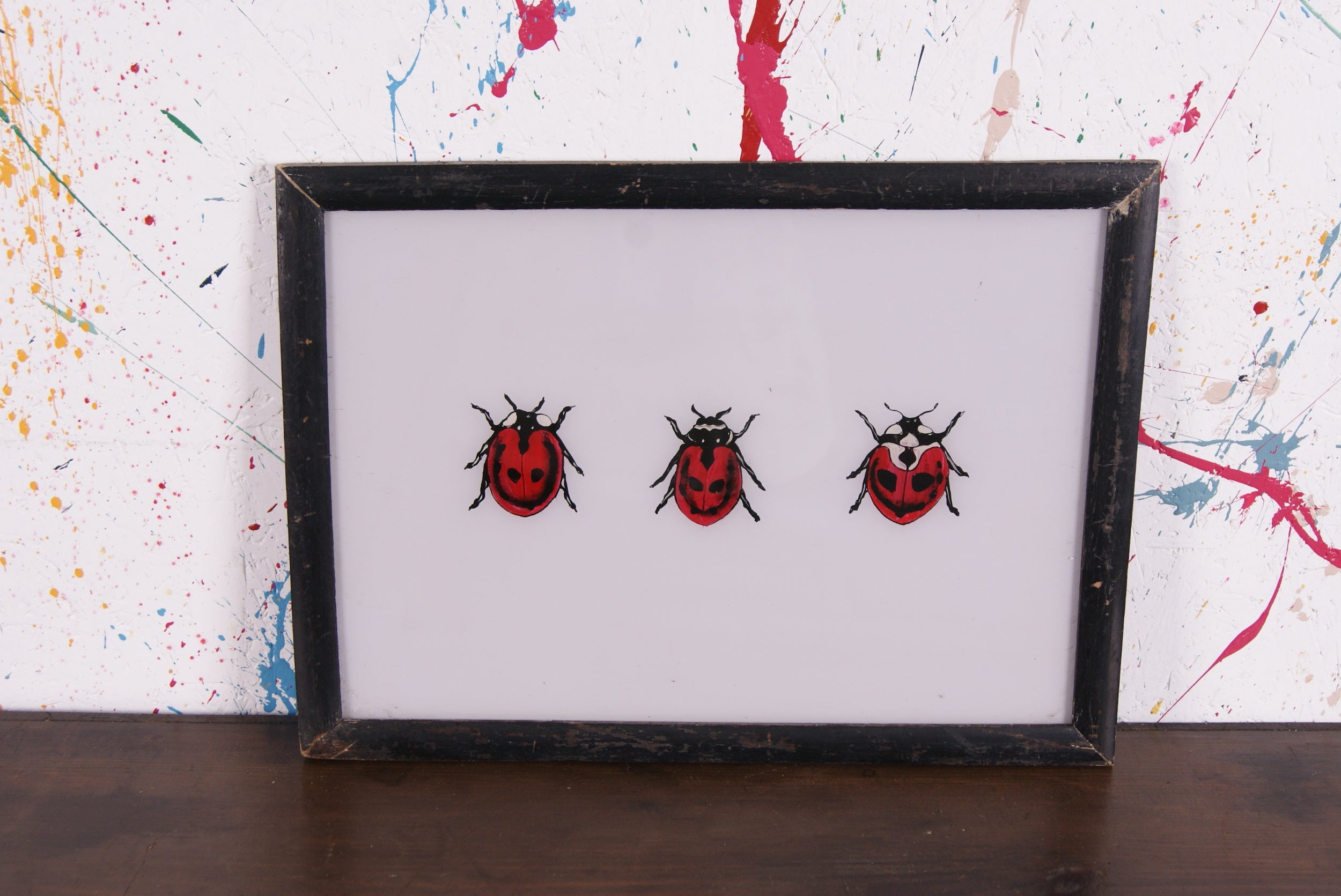 ladybirds-picture-1